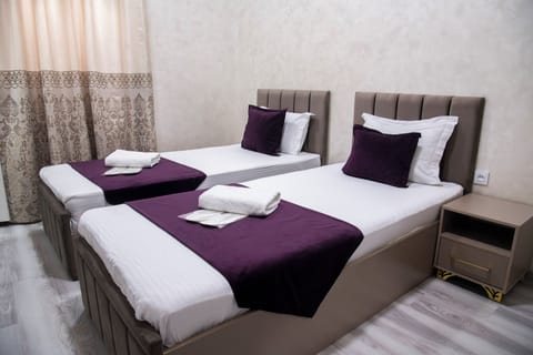 Standard Twin Room | Egyptian cotton sheets, premium bedding, laptop workspace, WiFi (free)