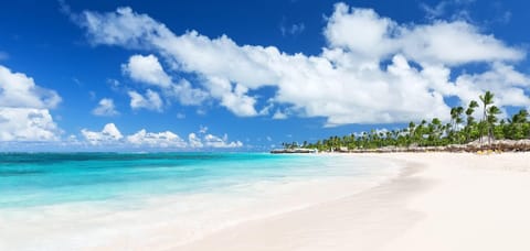 On the beach, white sand, surfing