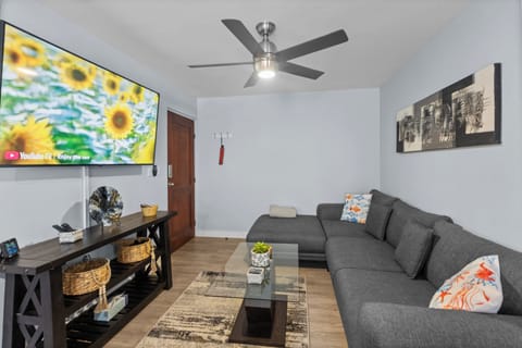 Comfy couch and 60" smart TV