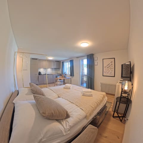 Living area with a sofa bed for two and a kitchen