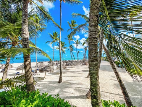 On the beach, white sand, 4 beach bars