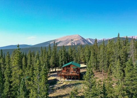 Birds Eye View of Cabin