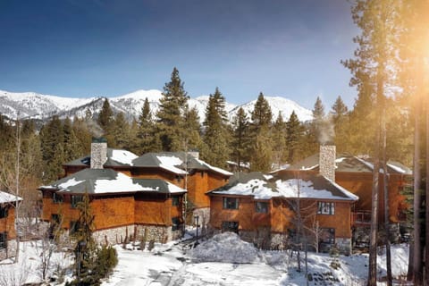 Great Hyatt Resort with Cabin-style Lodging
