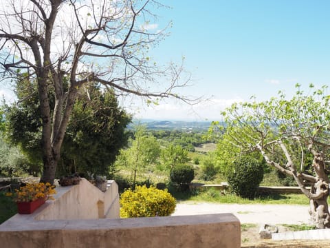 House | View from property