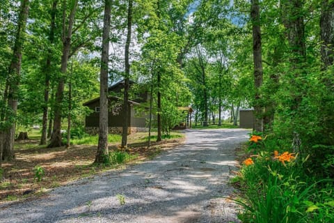 The scenic route to your getaway—where traffic jams mean a squirrel crossing.