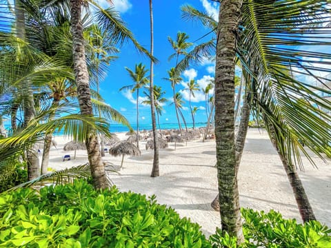 Beach nearby, white sand, beach towels, beach massages