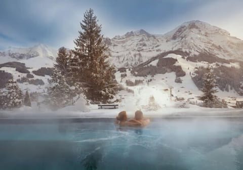 The Spa next door with alpine scenery…