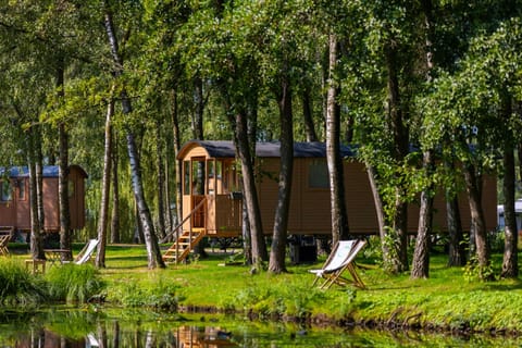 Camping Papillon Kinrooi - Pipowagen 4 personen met terras - Exterior