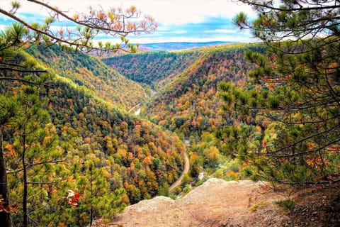 The Pine Creek Rail Trail, a 60+ mile multi-use trail for biking, hiking, horseback riding, and snow activities, running along the canyon floor through the Grand Canyon of PA.