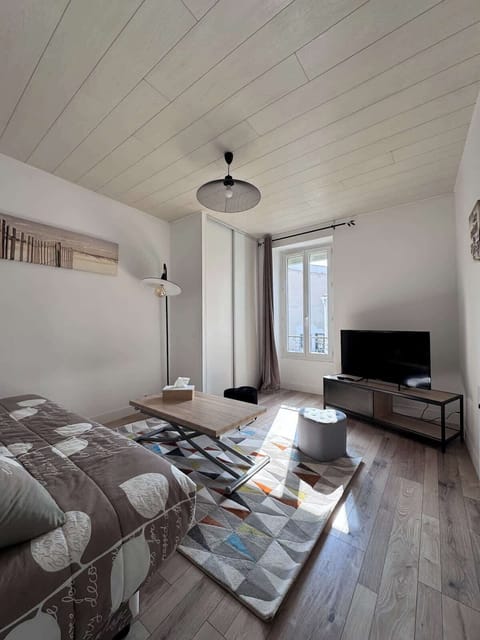 Coin salon avec un canapé lit et une télévision.