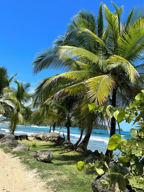 Beach/ocean view