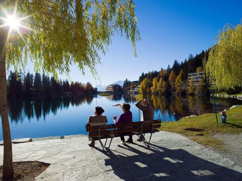 Water, Building, Sky, Daytime, Property, Swimming Pool, Azure, Window, Tower Block, Plant