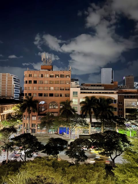 Business Room, Housekeeping, City View | View from room