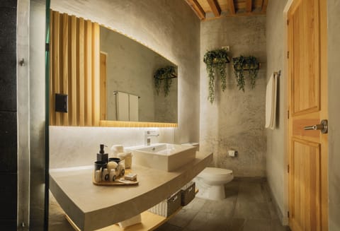 Deluxe Double Room | Bathroom | Shower, hair dryer, towels, soap