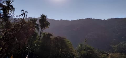 Land view from property