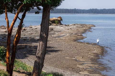 Pacific Shores Corner Escape – Double Queen Suite Apartment in Vancouver Island