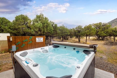 Welcome to Shady Grove Retreat!  Our home features a private hot tub, mountain views and 2.5 acres of rest and relaxation.