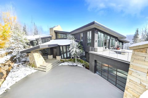 Stone entry drive and modern architecture create a dramatic first impression.
