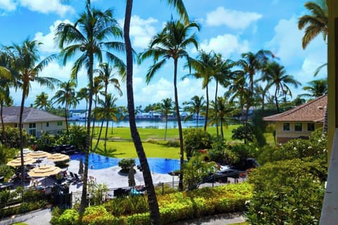 Enjoy peaceful resort views framed by tropical palms from your private lanai, just steps from the beach path.