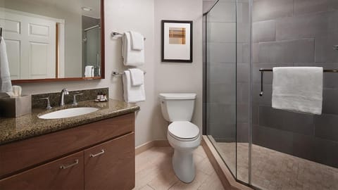 Bathroom, roomy shower