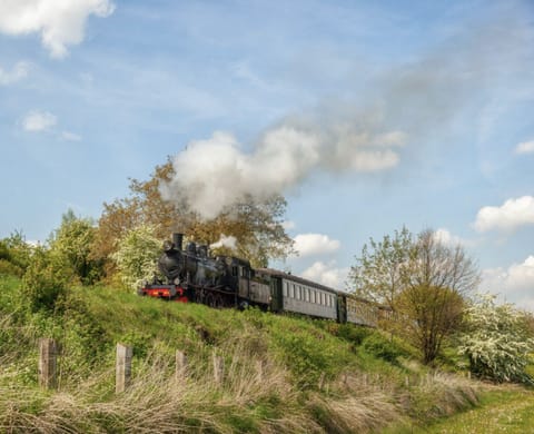 Bungalowpark Simpelveld - Delta 139 - environment