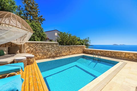 pool with a view
