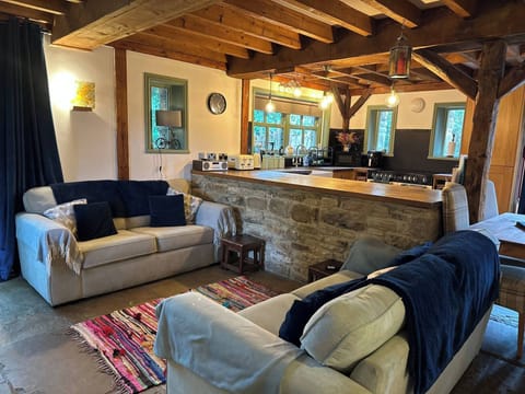 House, 1 Bedroom, Smoking, Balcony | Living room | Books