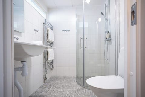 Shower, towels, toilet paper