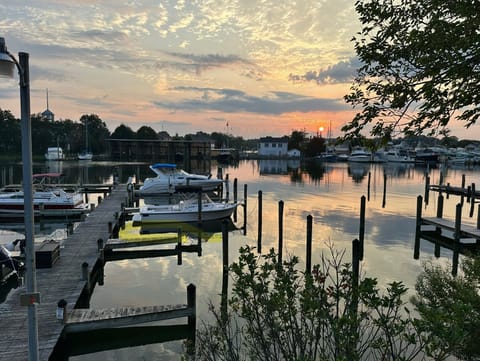 Back Creek View