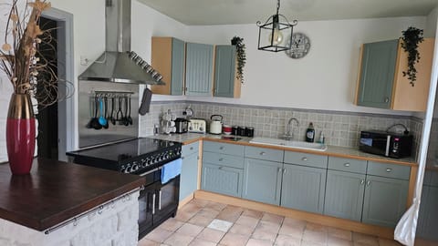 Full-size fridge, microwave, oven, stovetop