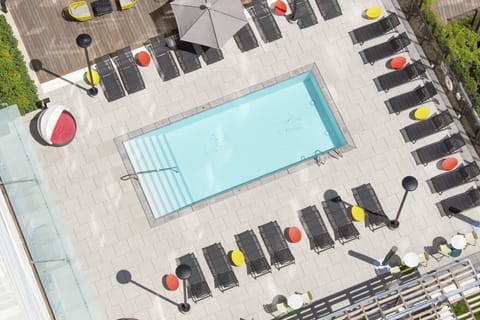 A resort-inspired pool where crystal-clear water meets modern elegance.
Unwind, sunbathe, and soak in the relaxing atmosphere.