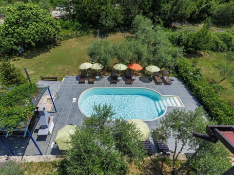 Swimming Pool, Outdoor Furniture, Furniture, Resort, Umbrella, Chair, Sunlounger, Shade, Eco Hotel, Outdoor Table