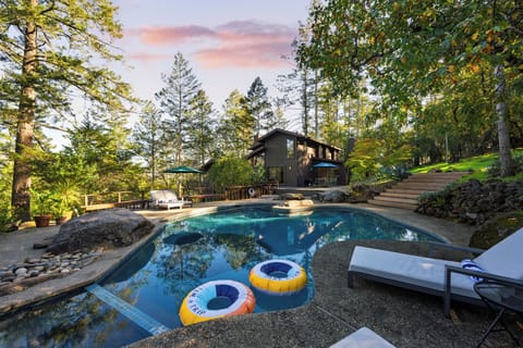 A refreshing forest escape with a sparkling pool and sun-drenched seating.