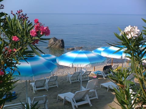 Beach/ocean view