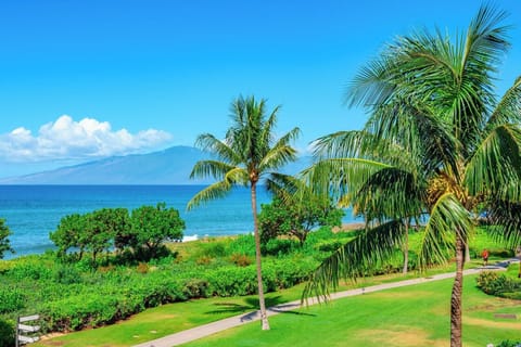 Lush green lawns, tropical palms, and endless ocean horizons create a serene, postcard-perfect Maui escape       HKH-201