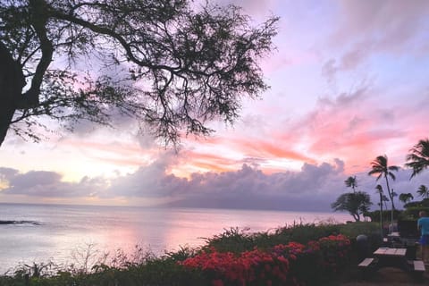 Incredible sunsets from your lanai NAP-A24