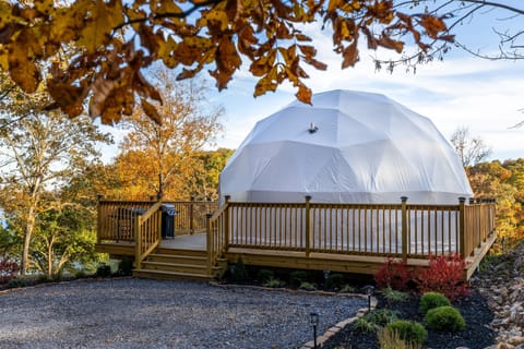 Private luxury dome perched above the lake with beautiful landscaping and private dock