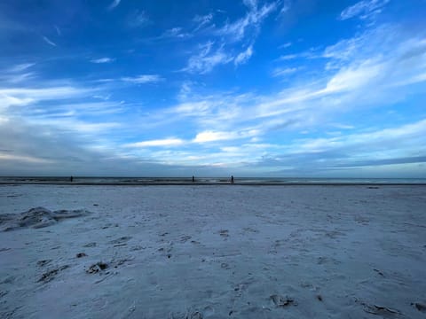 Siesta Key's World Famous Powder White Sand.