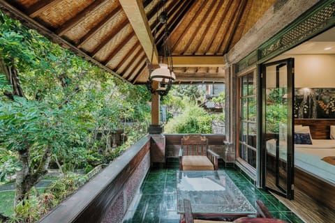 Superior Room | Terrace/patio