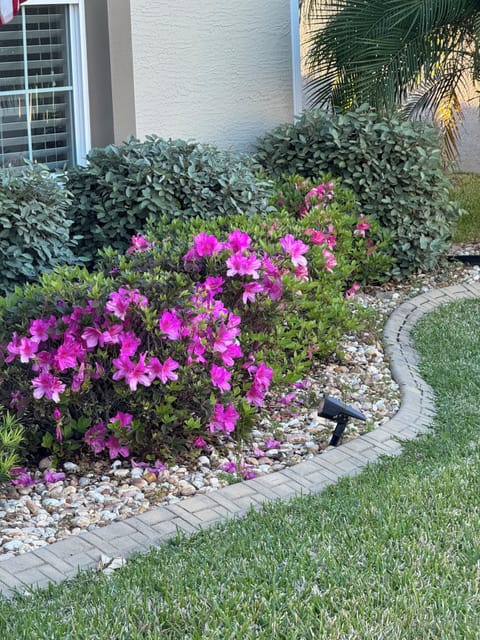 Front Flower Bed