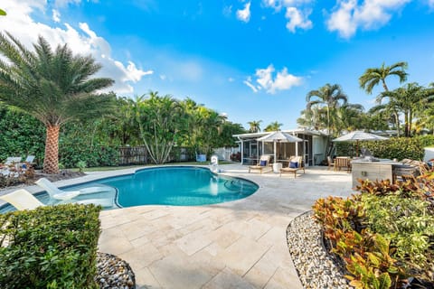 Dive in! Our large, sparkling pool is the perfect centerpiece of your getaway. Fully fenced and surrounded by palm trees for maximum privacy.