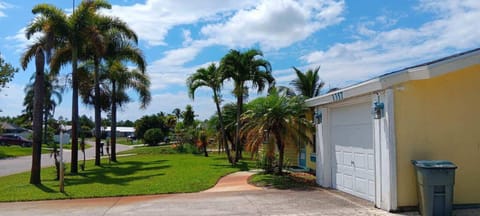 Front Yard and Driveway 