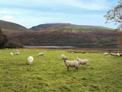 Surrounding area | Wenallt Cottage, Nantlle, near Caernarfon