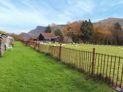 Outdoor | Wenallt Cottage, Nantlle, near Caernarfon
