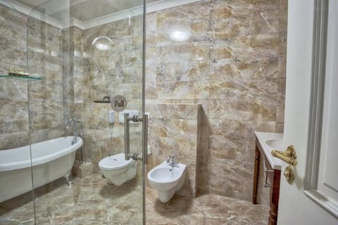 Free toiletries, hair dryer, bathrobes, slippers