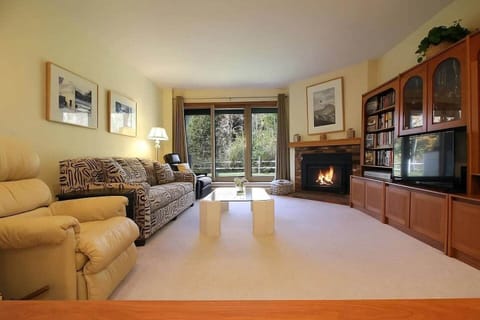 Cozy living room with fireplace and peaceful sounds of the Mad River