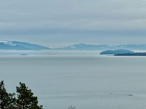 Panoramic water views across Rosario Straight/Pea Pod islands, breathtaking. 