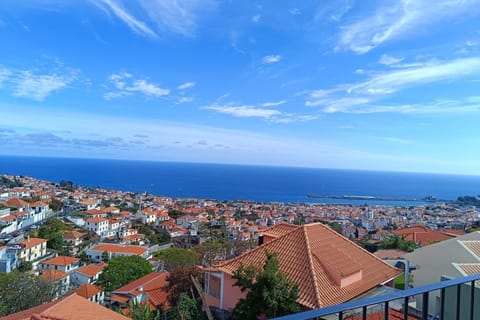 View (from property/room),Balcony/Terrace,City view,Landmark view,Sea view
