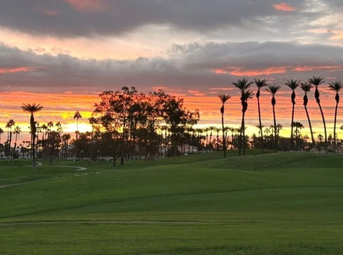 Beautiful sunrise