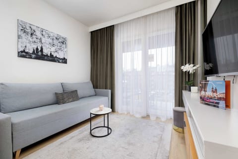 The spacious living room filled with natural light creates a pleasant place to unwind, with a comfortable sofa and soft rug perfect for relaxing after a day of exploring.